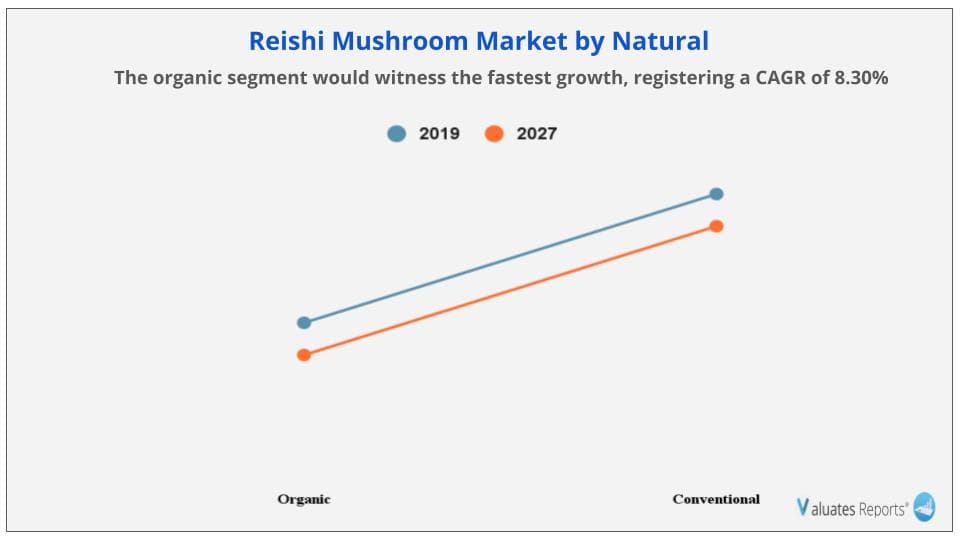 Reishi Mushroom Market by Natural